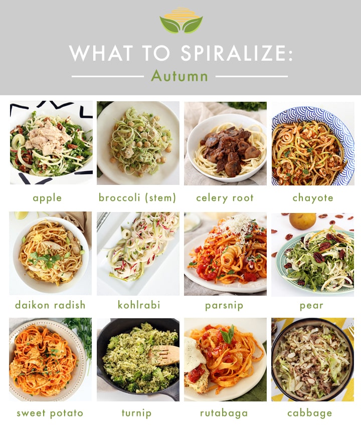 What's In Season for Spiralizing: Autumn + Nutrition Talk