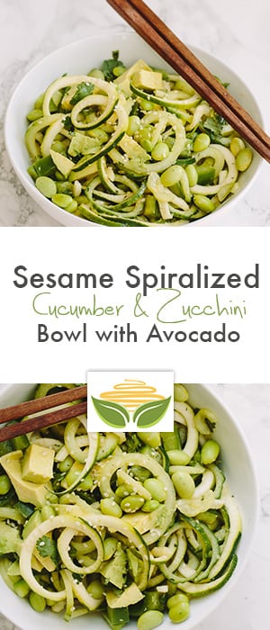 Spiralized Sesame Cucumber and Zucchini Bowl with Avocado