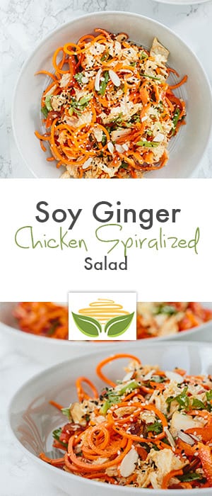 Soy Ginger Chicken Spiralized Salad