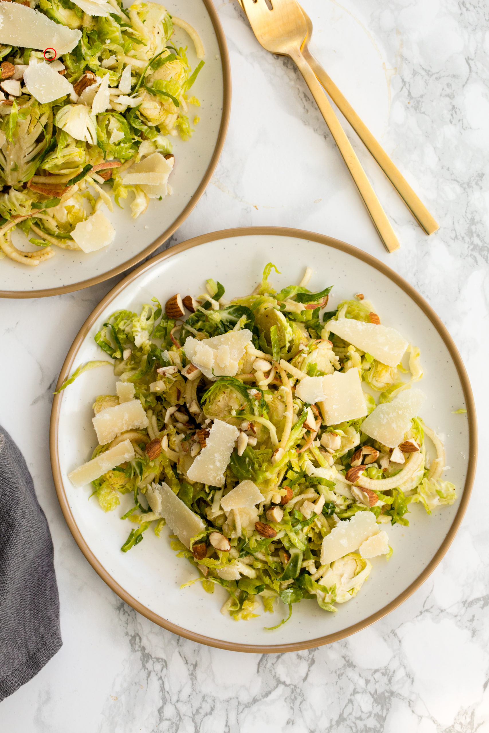 Brussels Sprouts and Apple Salad with Parmesan-2