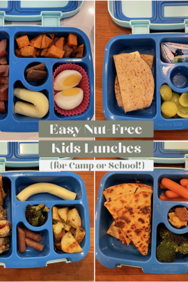 Easy Nut-Free Lunch Ideas for Kids in blue Bento boxes.