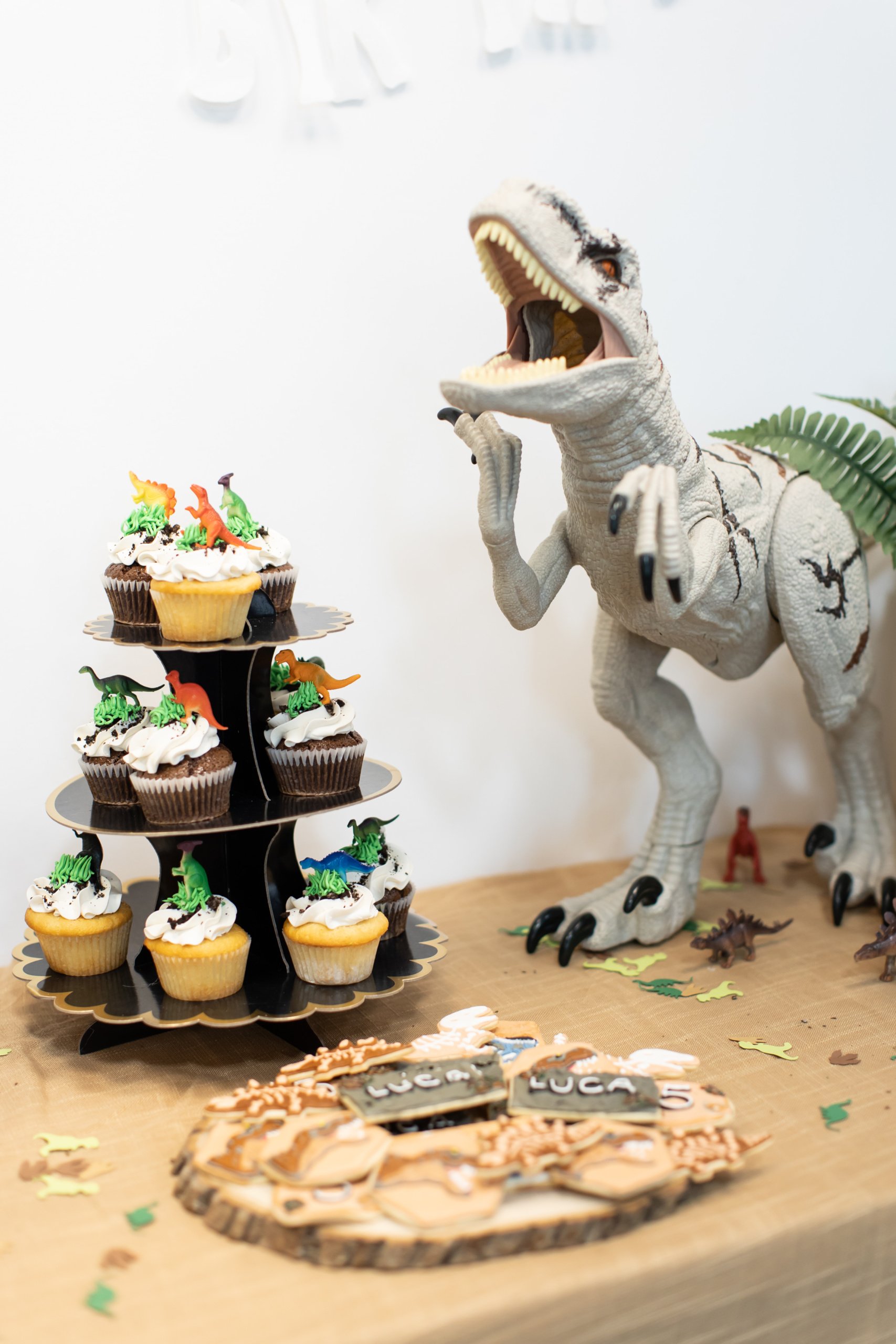 Luca's Dinosaur Themed 5th Birthday