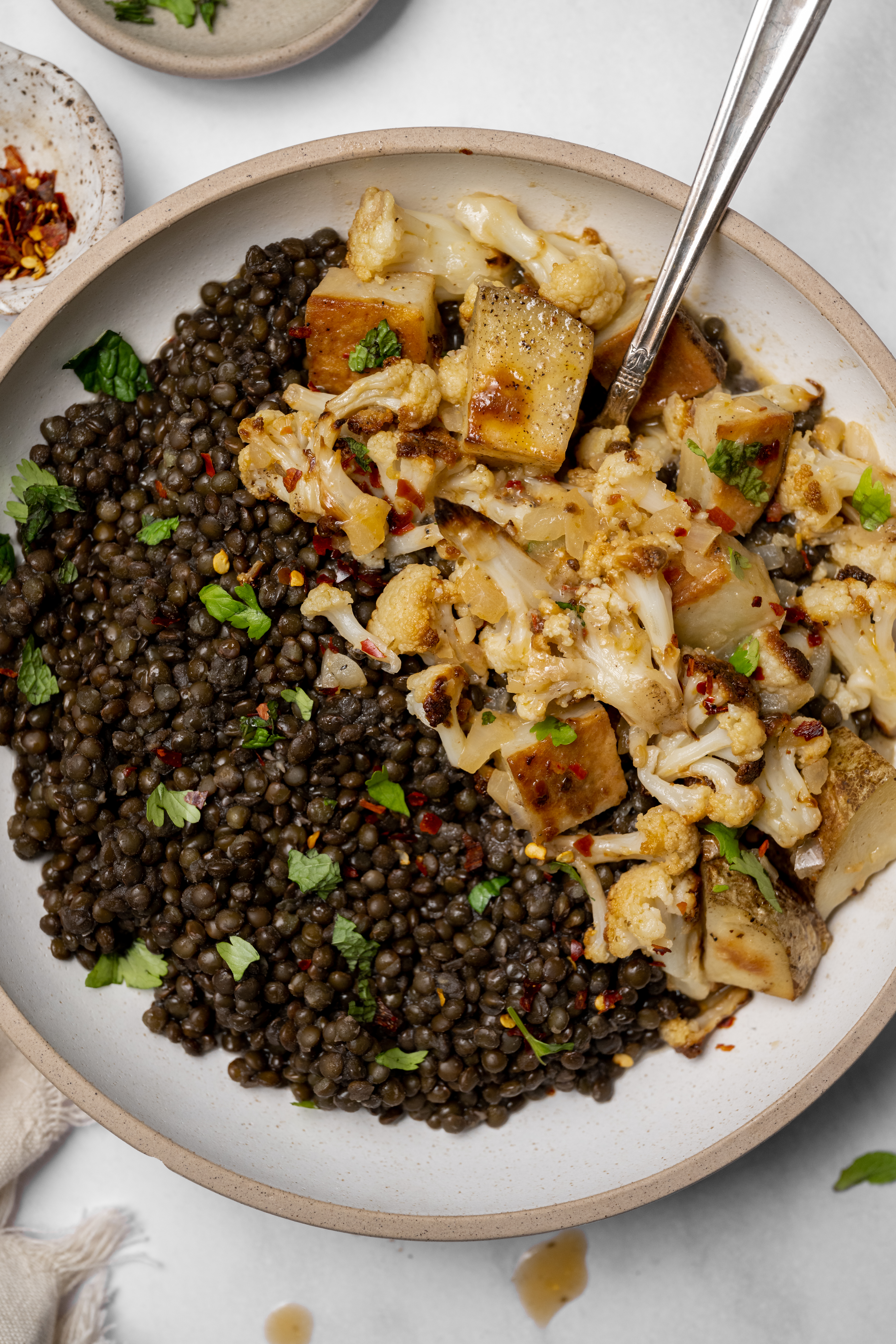 Roasted Vegetarian Red Thai Curry with Beluga Lentils